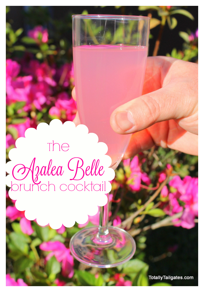The Azalea Belle cocktail is a refreshing alternative to the 'ol mimosa! Only 3 ingredients and oh so pretty. 